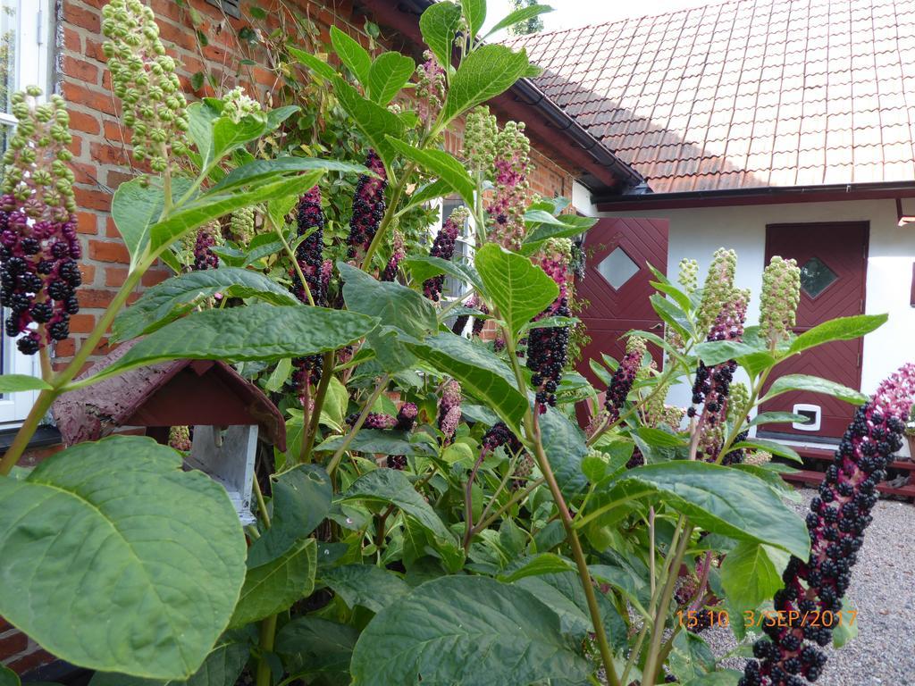Akarpsvaegen Vacation Home Trelleborg Luaran gambar